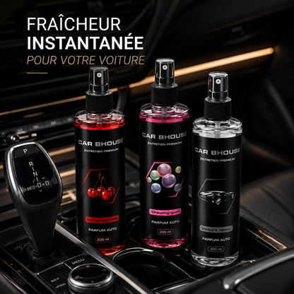 Spray Désodorisant Voiture 245 ml – Parfum d’Intérieur Auto