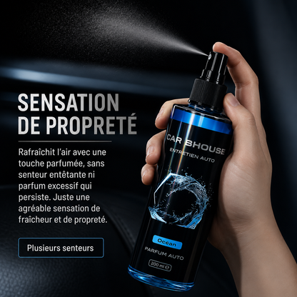 Spray Désodorisant Voiture 245 ml – Parfum d’Intérieur Auto